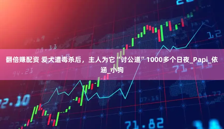 翻倍赚配资 爱犬遭毒杀后，主人为它“讨公道”1000多个日夜_Papi_依涵_小狗