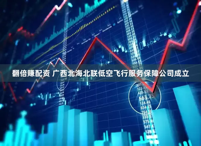翻倍赚配资 广西北海北联低空飞行服务保障公司成立