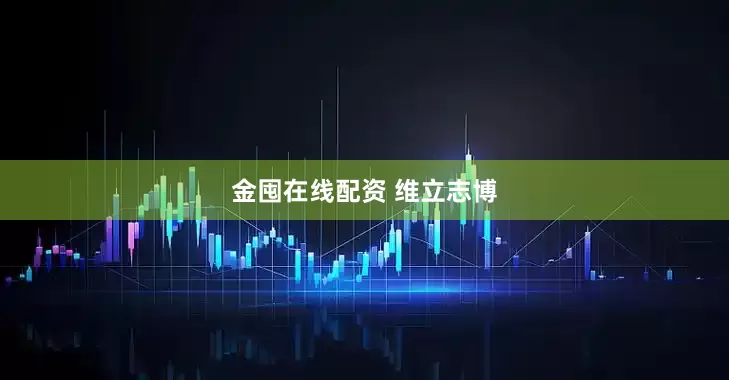 金囤在线配资 维立志博